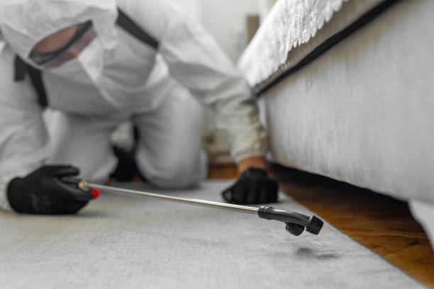 Professional Fumigation Services technician working in East Patchogue, NY