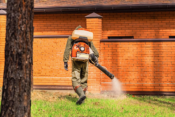 Trusted Cockroach Control service in East Patchogue, NY - Nex Pest Control